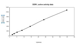Eurofins DiscoverX DDR1 Protein, Active 250 &mu;g | Buy Online | Eurofins DiscoverX | Fisher Scientific